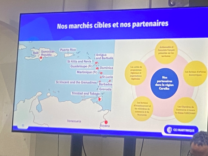 Slide Martinique Développement